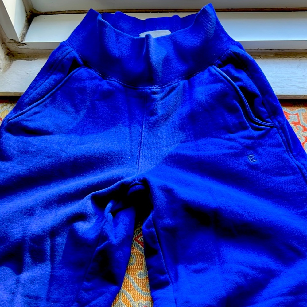NWOT Everlane high waisted sweats-very tiny waist